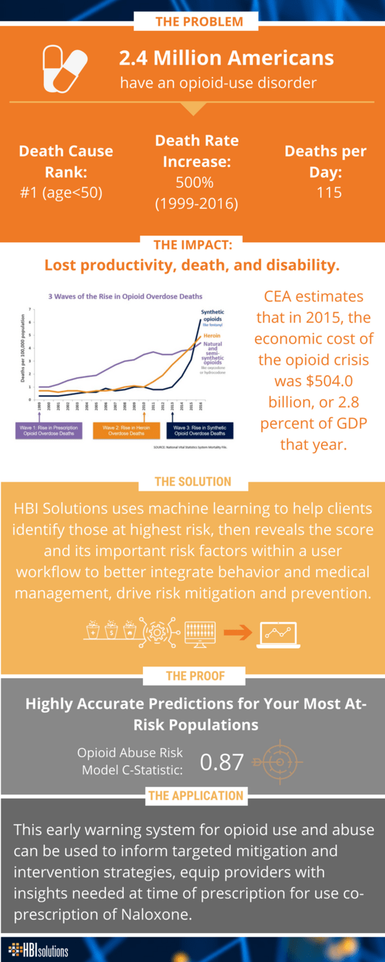 Opioid Risk Model Infographic For Website